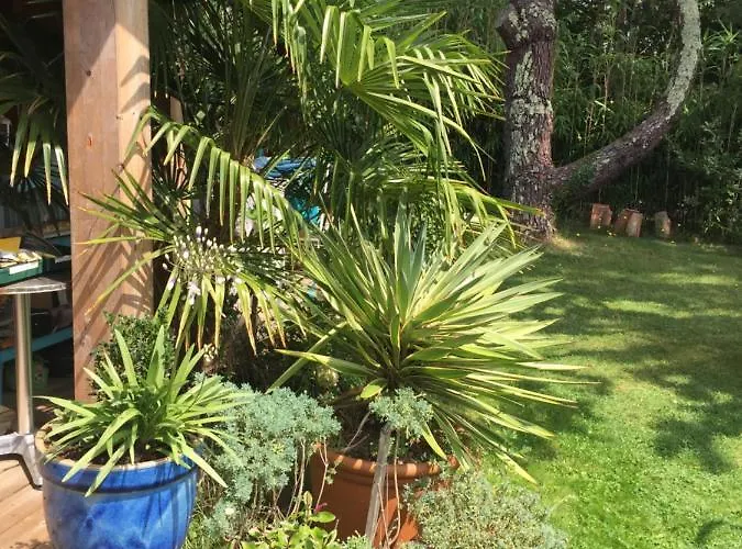 Maison De Bed & Breakfast